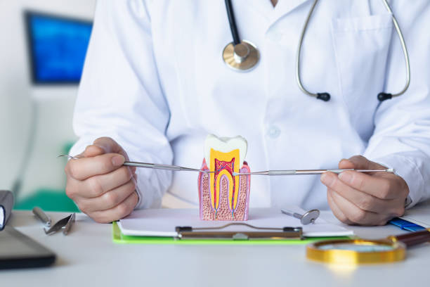 Best Emergency Dentist for Special Needs Patients in Hamilton City, CA